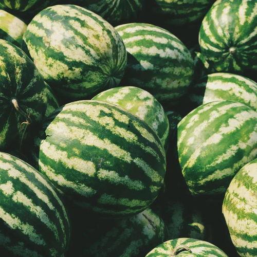 有什么可以免费吃瓜的,揭秘各大平台免费瓜果盛宴