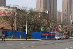 沧州爆料最新事件,聚焦城市动态与热点事件