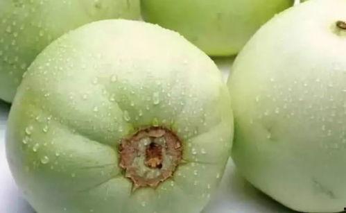 甜瓜有个厂最新爆料,最新爆料带你探秘甜瓜产业背后故事