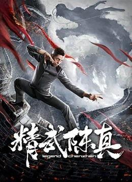 2019陈真在线观看,经典武侠再燃战火，在线重温热血传奇