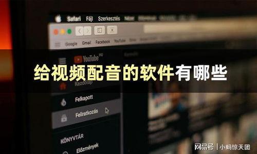爆料视频保密配音软件,揭秘视频爆料背后的神秘配音软件