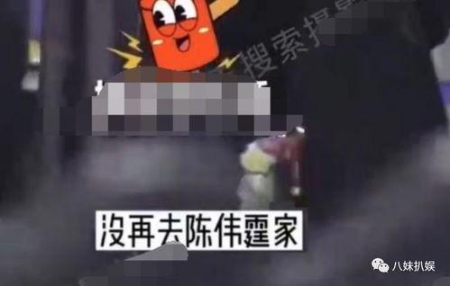 狗仔爆料特效视频大全