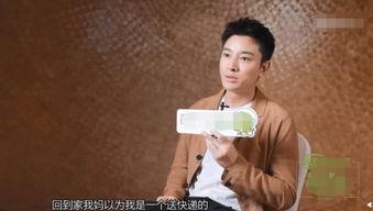 贾乃亮母亲爆料视频,揭秘明星家庭背后的真实故事