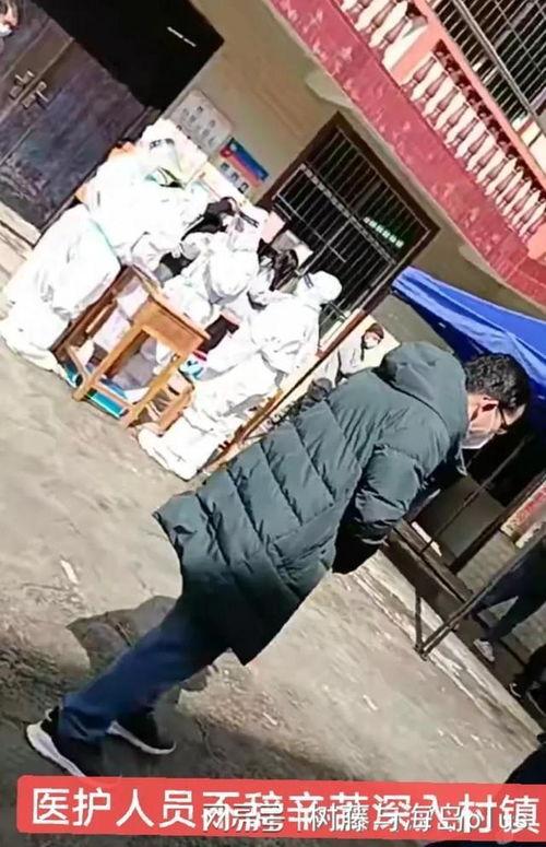 肥猪爆料虎子视频