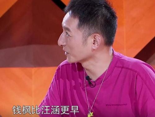 汪涵爆料钱枫视频大全集,钱枫视频大全集背后的故事与真相