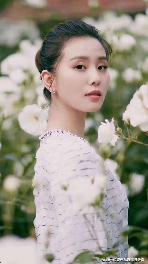 卓伟爆料娱乐圈家庭,娱乐圈家庭众生相揭秘