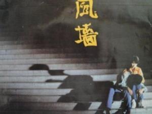 风墙电视剧在线观看,揭秘风暴中的生死较量，在线观看震撼来袭！