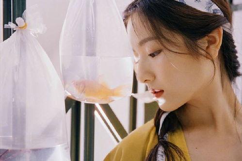 娱乐大爆料李兰迪,揭秘明星背后的故事