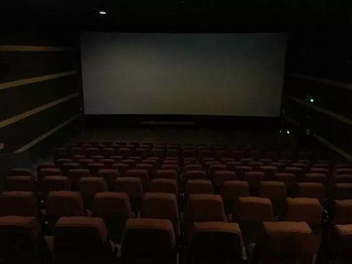 第一放映室在线观看,在线观影新体验，尽享影视盛宴