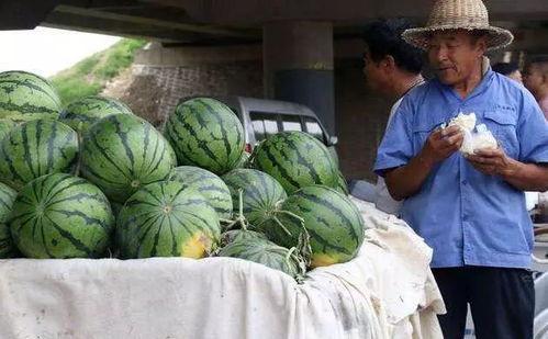 运城网红吃瓜事件,揭秘网络舆论背后的真相与争议