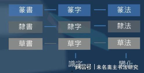 草字研究爆料视频下载,视频爆料背后的下载奥秘