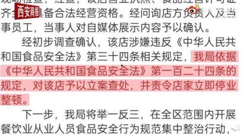 草字研究爆料视频下载,视频爆料背后的下载奥秘
