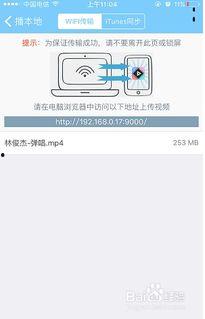 青岛本地热搜爆料视频播放,揭秘本地热门事件背后的真相