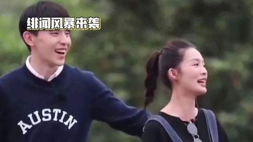 绯闻风暴在线观看,揭秘娱乐圈的真相与谎言