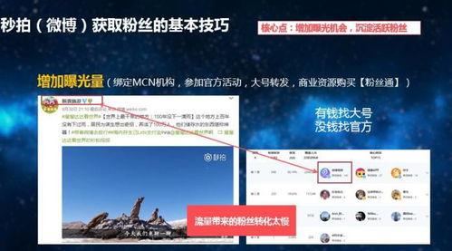 爆料短视频要求怎么写文案,爆款文案撰写攻略