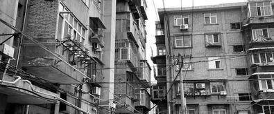 楼市爆料济南最新消息新闻,揭秘济南房价走势与政策调整