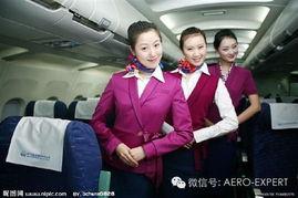 菲律宾空姐最新爆料新闻,揭秘航空业不为人知的秘密