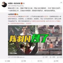 郑晨龙最新爆料消息视频,揭秘事件背后惊人真相