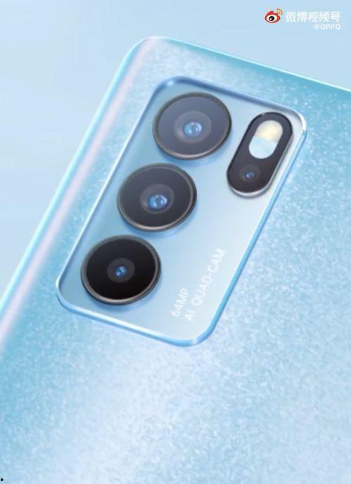 郑晨龙最新爆料消息视频,揭秘事件背后惊人真相