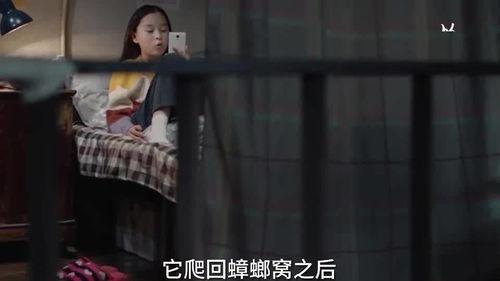 多多姐爆料十三视频