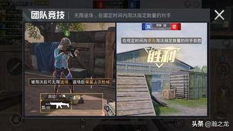 和平精英网络爆料视频,网络视频揭秘游戏最新动态