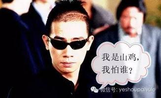 陈小春娱乐爆料视频大全,揭秘明星幕后故事