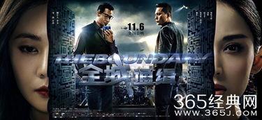 全城通缉电影在线观看,揭秘犯罪背后的正义之战，在线观看惊心动魄！