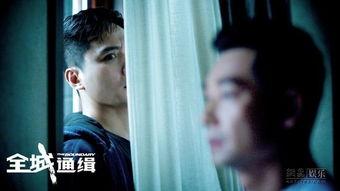 全城通缉电影在线观看,揭秘犯罪背后的正义之战，在线观看惊心动魄！