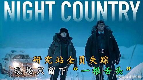 真探 第一季在线观看,探寻真相的悬疑之旅