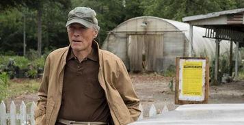 电影骡子在线观看,身陷毒网，救赎之路