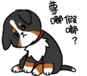 尊嘟假嘟免费吃瓜,揭秘娱乐圈幕后真相！