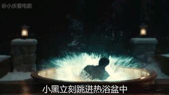 热浴盆时光机 在线观看,在线观看之旅