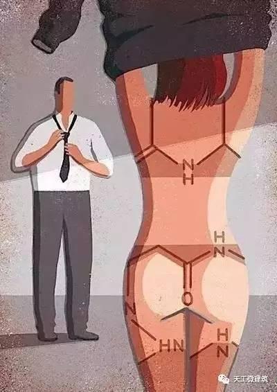 成人动漫视频在线观看,在线观看指南揭秘