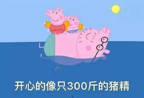 小猪吃不停爆料视频