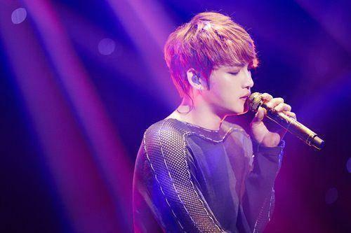 日本娱乐圈爆料金在中,揭秘明星背后的真相