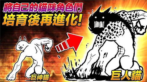 猫咪大战争最新爆料